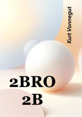 Book 2BRO2B (summary) (2BRO2B) in English