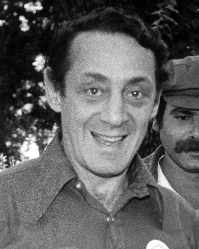 Read Bilingual Article Harvey Milk in English with translation | AnyLang