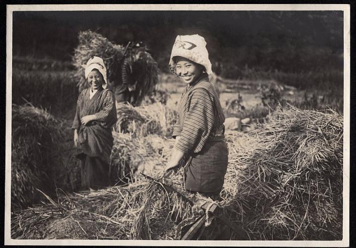 Women in agriculture in Japan