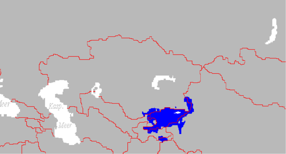 Lingua kirghisa