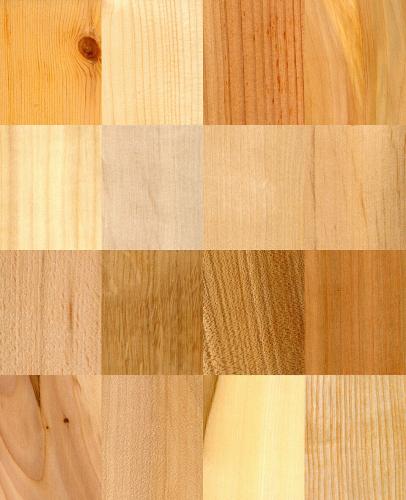 Legno