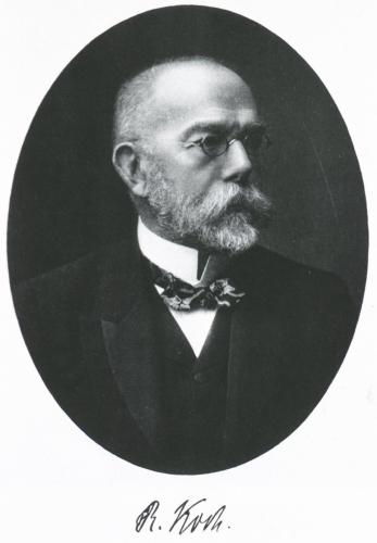 Histoire de la tuberculose
