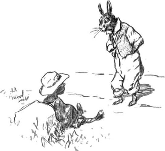 El Hermano Conejo y El Hermano Zorro