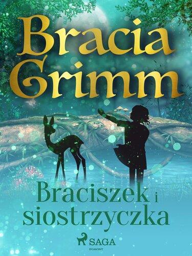 Buch Brüderchen und Schwesterchen (Braciszek i siostrzyczka) in Polish