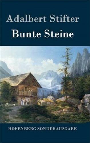 Książka Barwne kamienie (Bunte Steine) na niemiecki