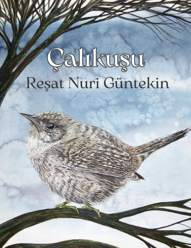Kitap Çalıkuşu (Çalıkuşu)   türkçe