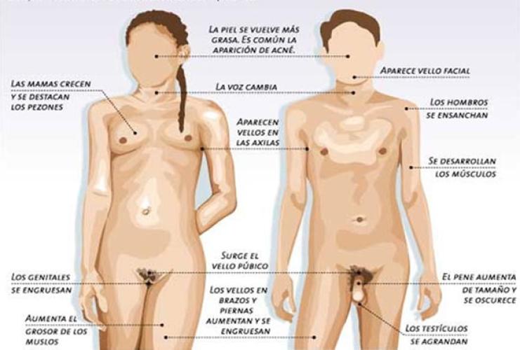 Sexualidad