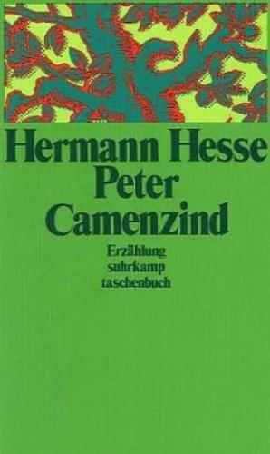 Книга Петер Каменцинд (Peter Camenzind) на немецком