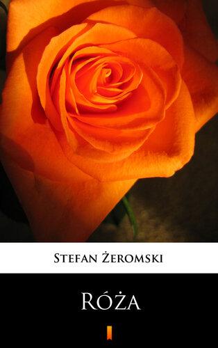Buch Rose: Ein Drama ohne Bühne (Róża: Dramat niesceniczny) in Polish