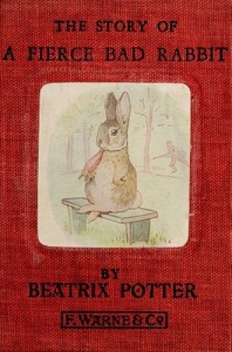 Książka Historia o straszliwie złym króliku (The Story of a Fierce Bad Rabbit) na angielski