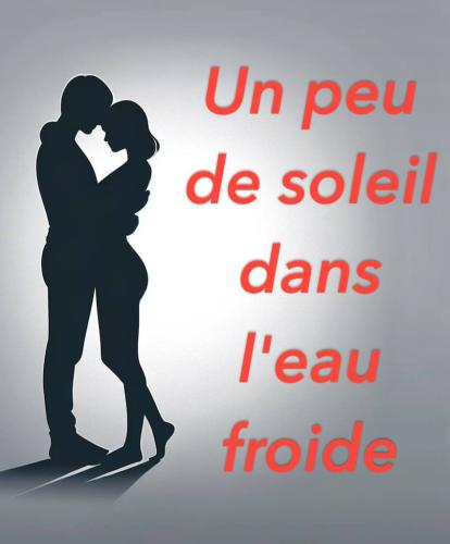 Book Sunlight on Cold Water (summary) (Un peu de soleil dans l'eau froide) in French