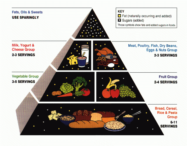 Food pyramid (nutrition)