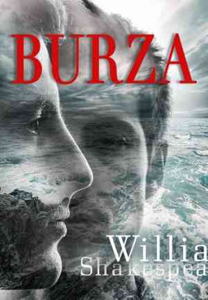 Buch Der Sturm (Burza) in Polish