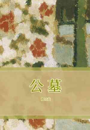 Книга Гробница (公墓) на китайском