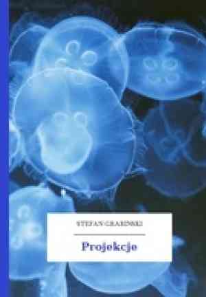 Buch Projektionen (Projekcje) in Polish