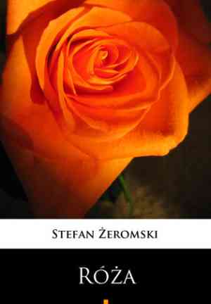 Livre Rose : Drame non mis en scène (Róża: Dramat niesceniczny) en Polish