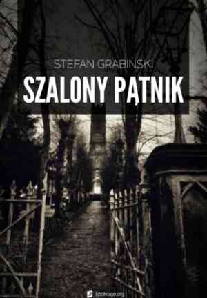 Buch Der verrückte Pilger (Szalony pątnik) in Polish