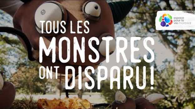 Video Tous les monstres ont disparu! in English