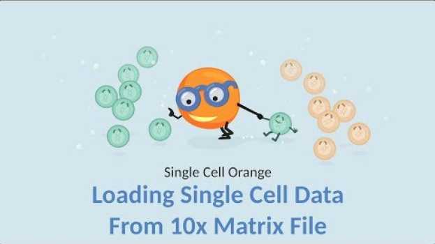 Video Single Cell Orange 02: Loading Single Cell Data from 10x Matrix in Deutsch