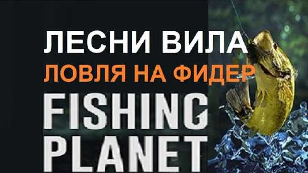Video Fishing planet фарм на фидер на пруду Лесни Вила в Чехии na Polish