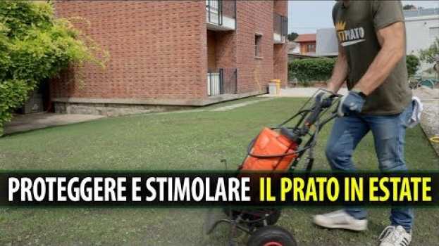 Video PROTEGGERE e STIMOLARE il Prato in Estate su italiano