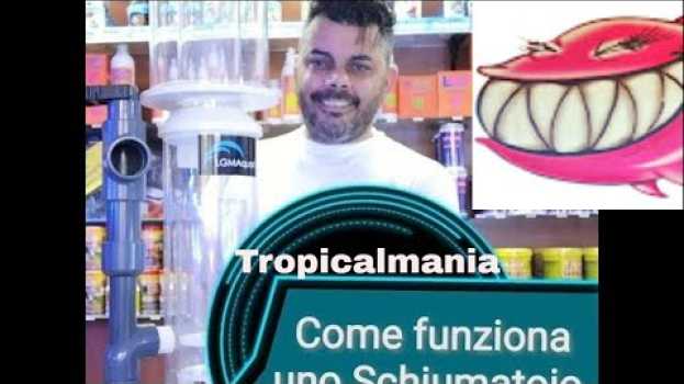 Video Schiumatoio. Come funziona uno schiumatoio? su italiano