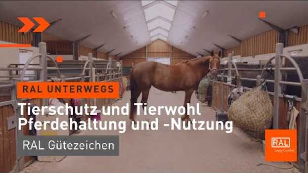 Video Tierschutz und Tierwohl - Pferdehaltung und -Nutzung mit dem RAL Gütezeichen su italiano