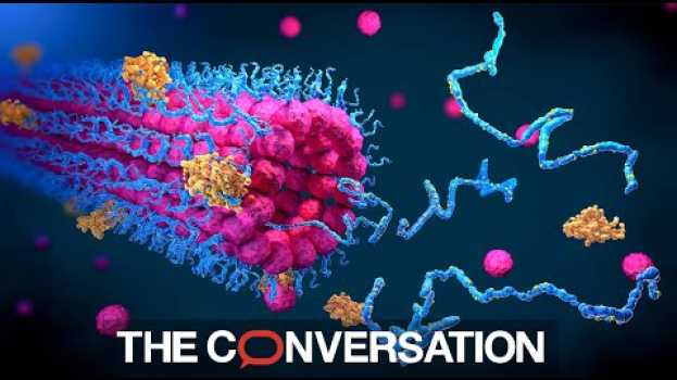 Video What is a protein? A biologist explains en Español