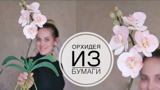 Видео Paper ORCHID / ОРХИДЕЯ из бумаги / Как долго ее ждали / DIY TSVORIC на русском
