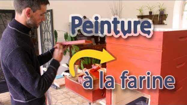 Video Peinture suédoise maison pour nos ruches en Español