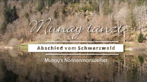 Video "Munay tanzt - eine besondere Reise" · Abschied vom Schwarzwald (Teaser #1) (2.21 Min.) in English