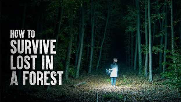 Video How to Survive Alone in the Forest in Deutsch