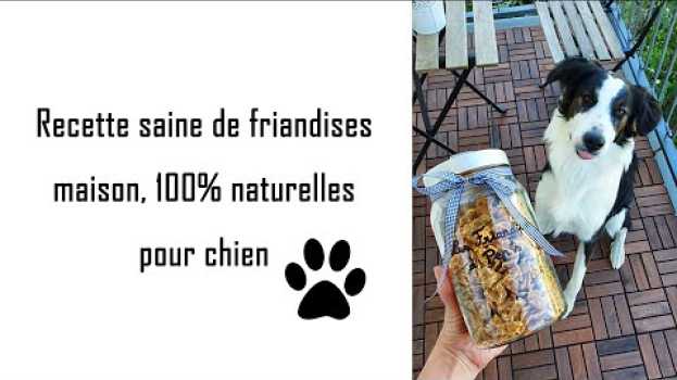 Video Recette maison de friandises pour chien 100% naturelles - sans céréales en Español