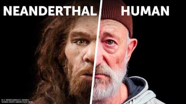 Video Who Would Win: You VS. Neanderthal em Portuguese