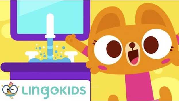 Video 🧼 WASHING HANDS  🙌 Songs for Kids 👫 Good Hygiene Habits Lingokids en Español