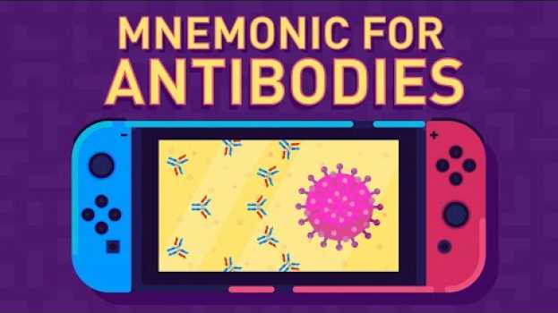 Video Antibodies and Their Function in English