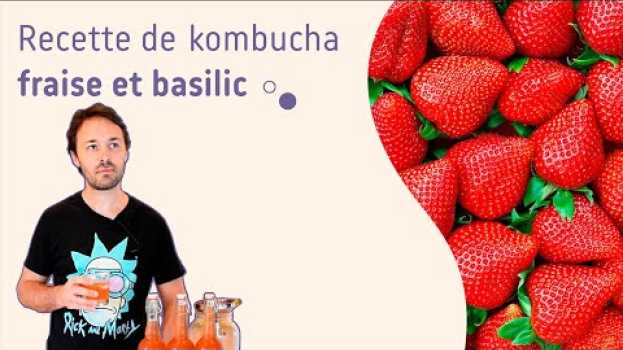 Video Recette facile de kombucha fraise et basilic en Español