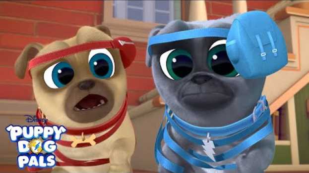 Video Up and at 'Em | Puppy Playcare | Puppy Dog Pals | Disney Junior su italiano