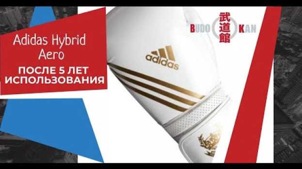 Video Обзор боксёрских перчаток Adidas Hybrid Aero до и после 5 лет использования na Polish