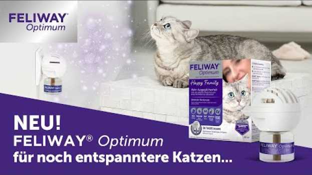 Video FELIWAY Optimum für Katzen ► Die neue Pheromon-Entdeckung für noch mehr Ausgeglichenheit su italiano