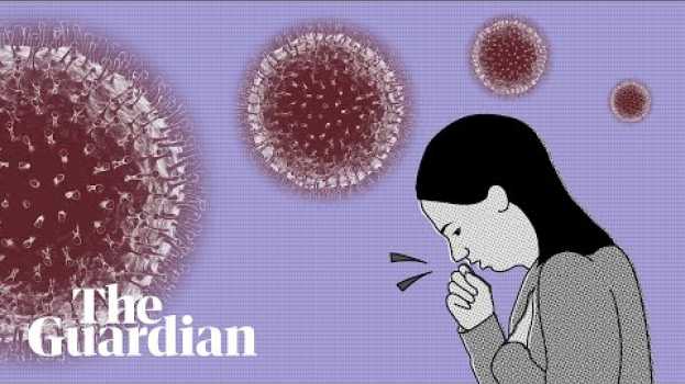 Video Coronavirus: how do I know if I'm infected and what happens next? na Polish