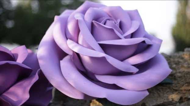 Video Самая красивая ростовая роза из фоамирана en français