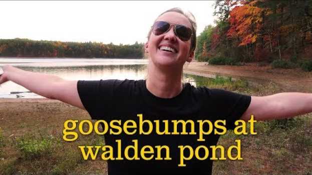 Video Goosebumps at Walden Pond em Portuguese