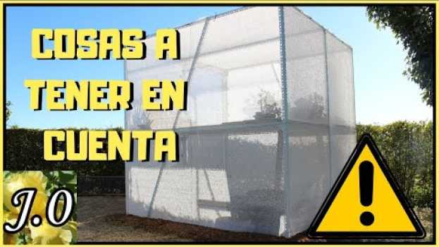 Video ☀️ 5 COSAS sobre mi invernadero de SOMBREO para suculentas ❄️ in English