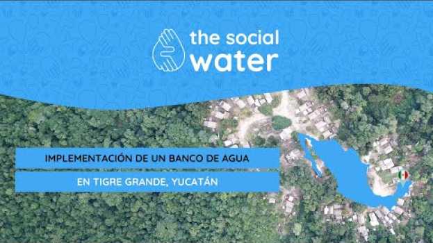 Video Implementación de un BANCO DE AGUA en TIGRE GRANDE, Yucatán en français