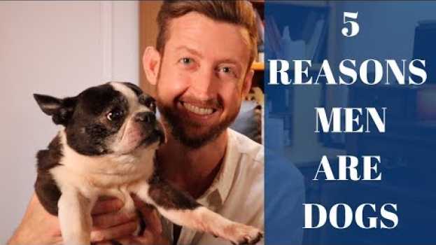 Video 5 Reasons Men Are Dogs (And How It Helps You Understand Them!) su italiano