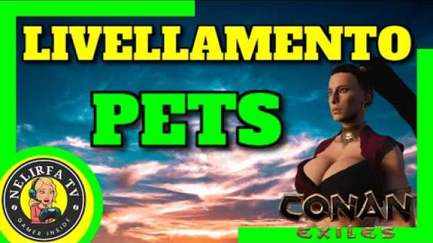 Video Conan exiles|| Novità per gli animali e gli schiavi: (follower) livelleranno en français