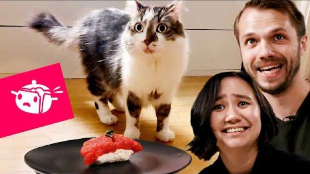 Видео We Tried To Make Sushi For Our Cats • Eating Your Feed • Tasty на русском