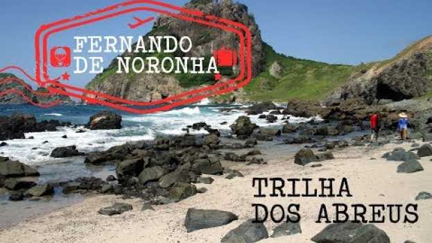 Video Trilha dos Abreus (Fernando de Noronha) su italiano