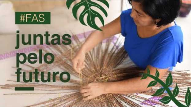 Video A Americanas.com e a Fundação Amazonas Sustentável agora estão juntas ;) en Español
